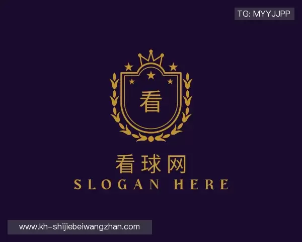 了解看球网